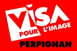 Logo Visa pour l'image