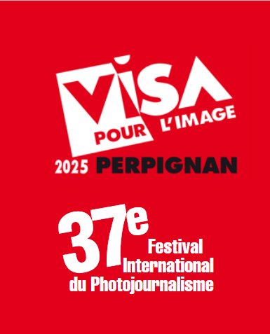 Logo Visa 2025