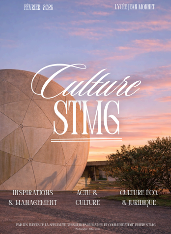 culture stmg monnet