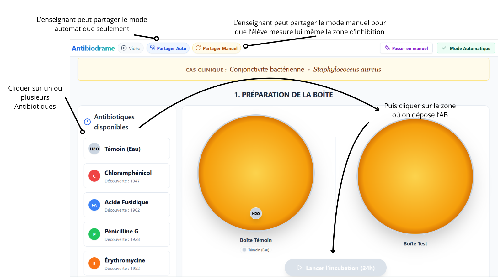Interface antibiodrame