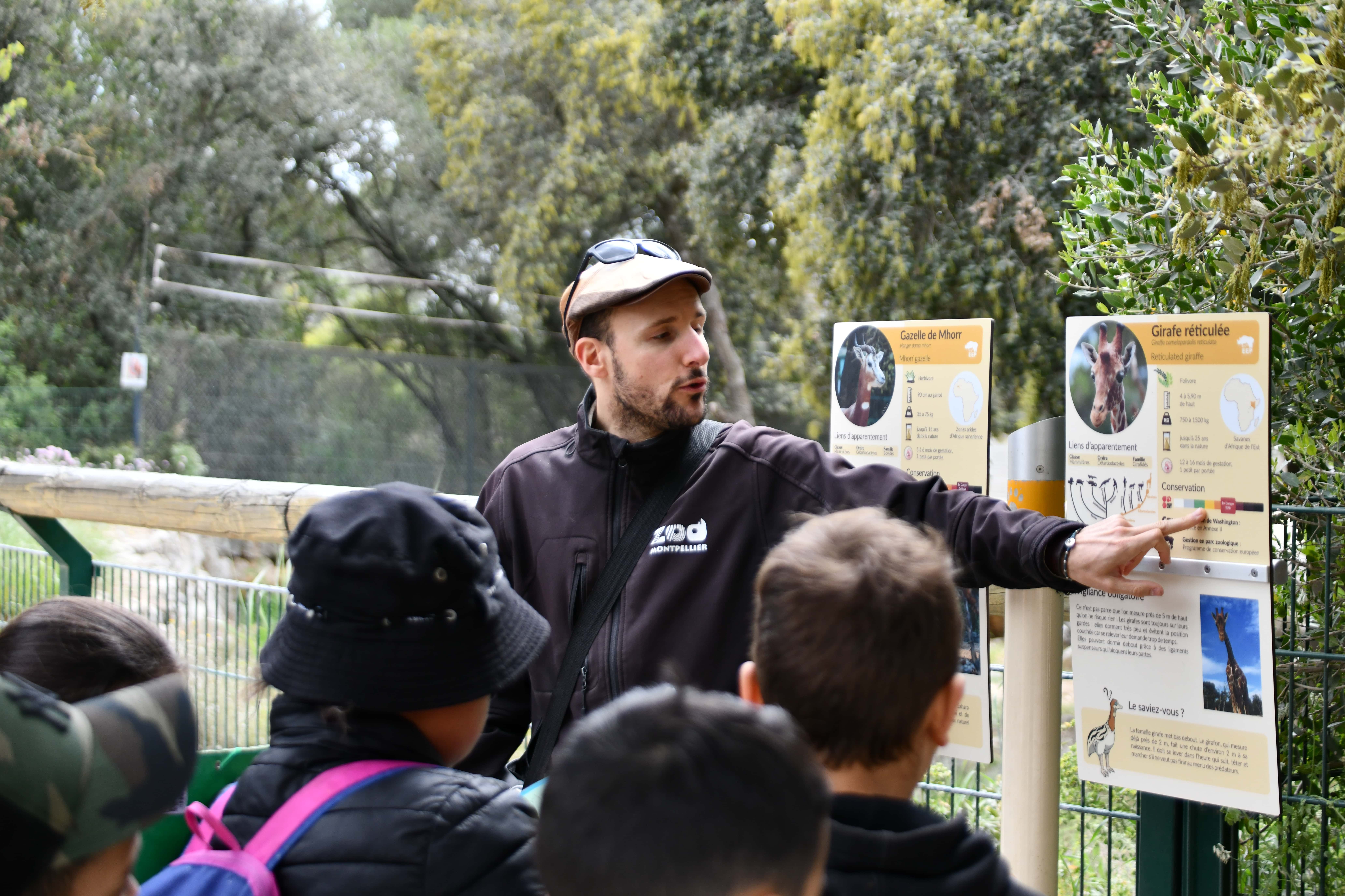 visuel zoo