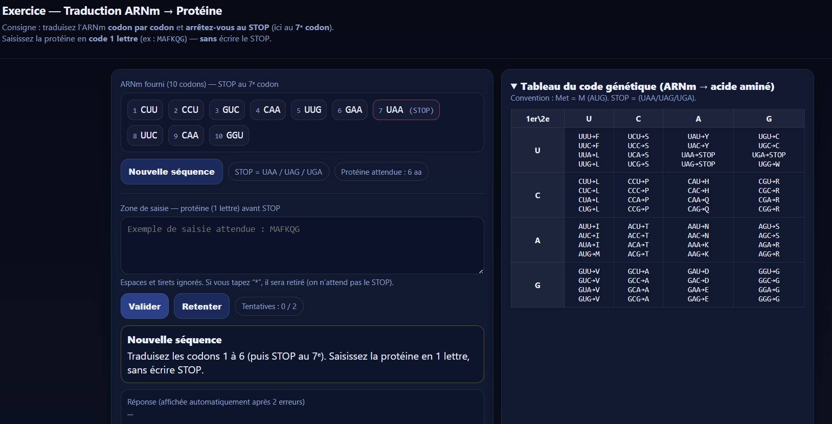 Visuel ADN vers Protéine