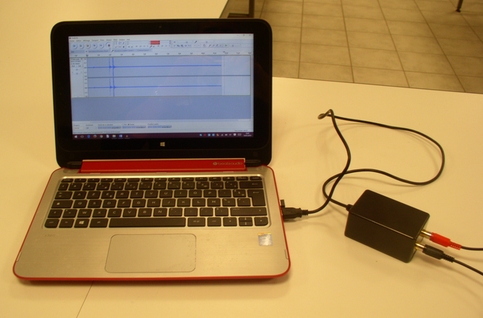 Adaptateur audio-SAMS connecté par USB au PC LoRdi