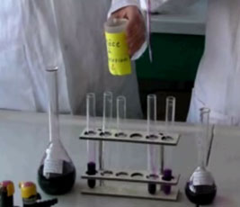 Tests avec des réactifs dans des tubes à essais