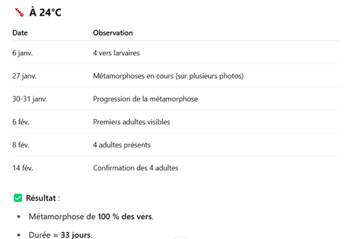 chronologie par temp 2