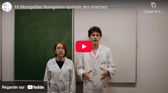 Les lauréats de 'l'académie de Montpellier