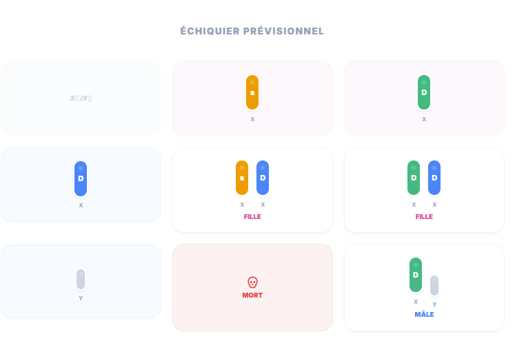 capture ecran gorongosa