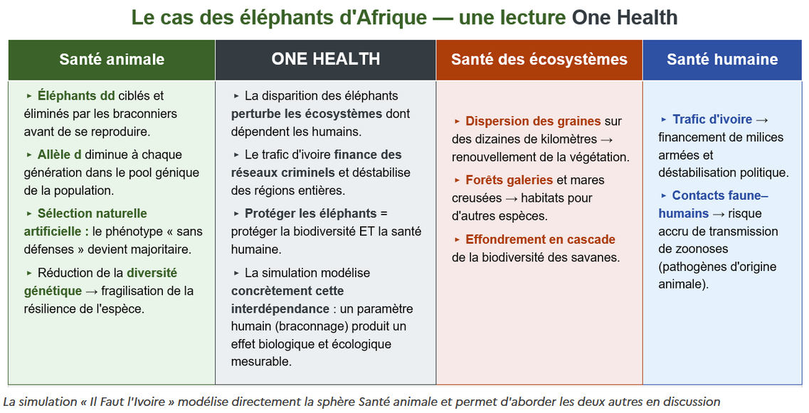 Evolution des populations d'éléphants