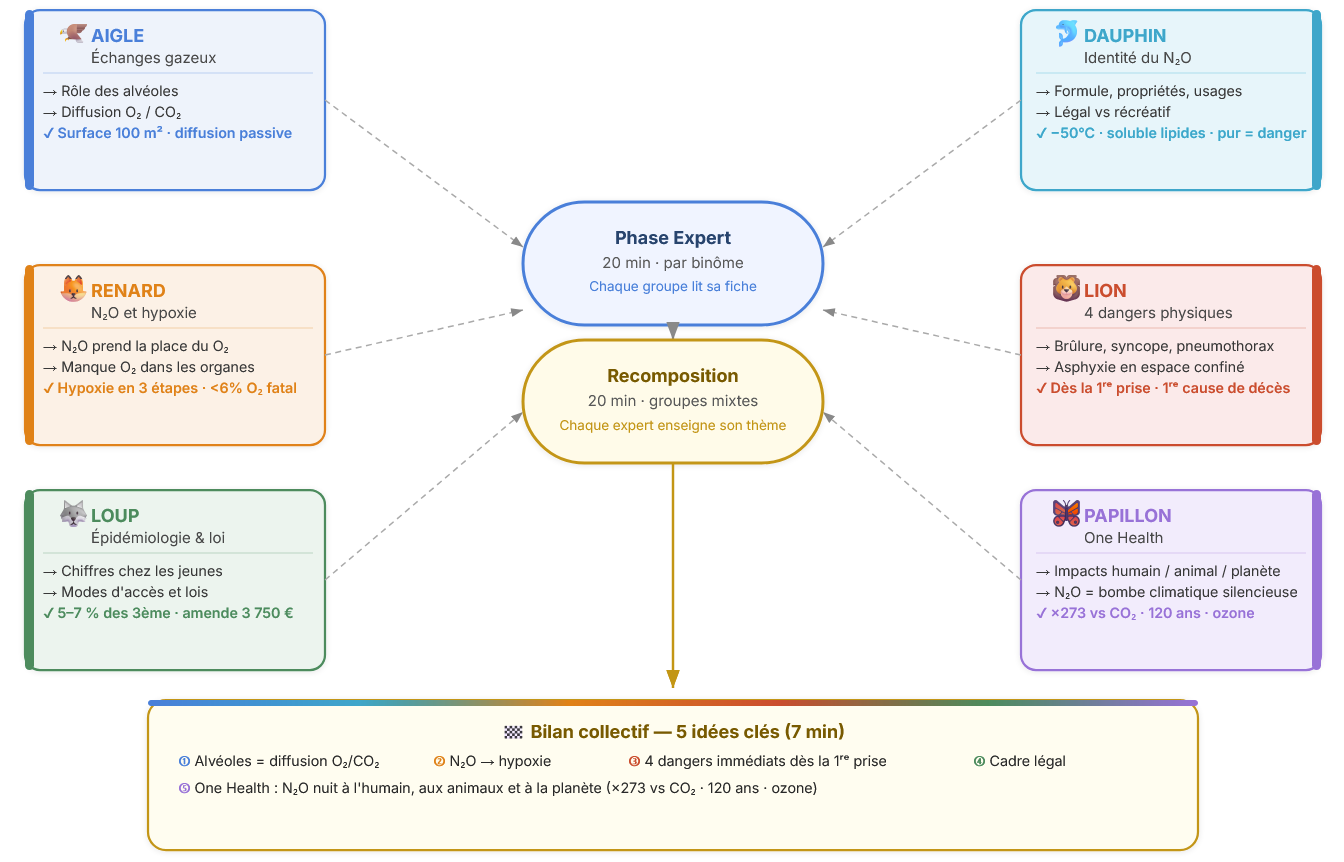 Synthèse de la classe puzzle