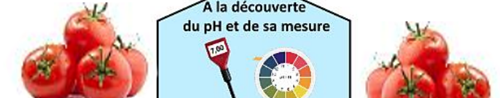 Des tomates, un pH-mètre et du papier pH