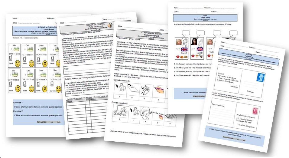 Exemples de fiches d'évaluation en LVE