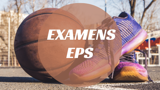 Image Examens EPS (photo ballon basket chassure)
