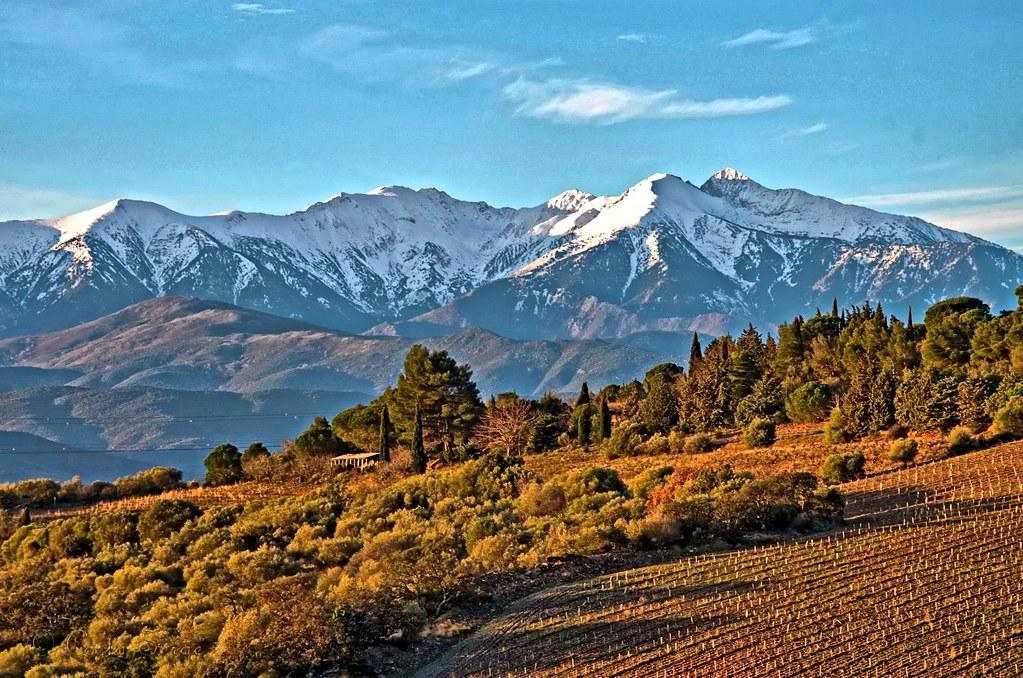 Le Canigou 