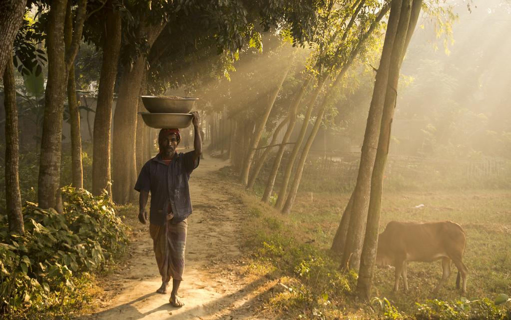 Scène rural au Bangladesh