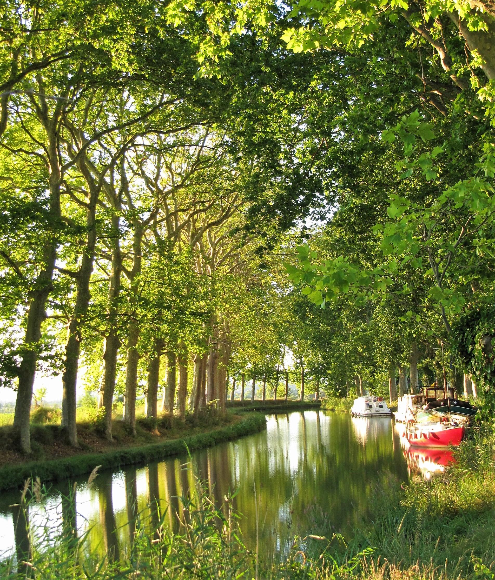 Le canal du Midi