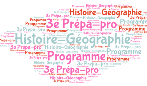 Logo programme bac-pro CAP