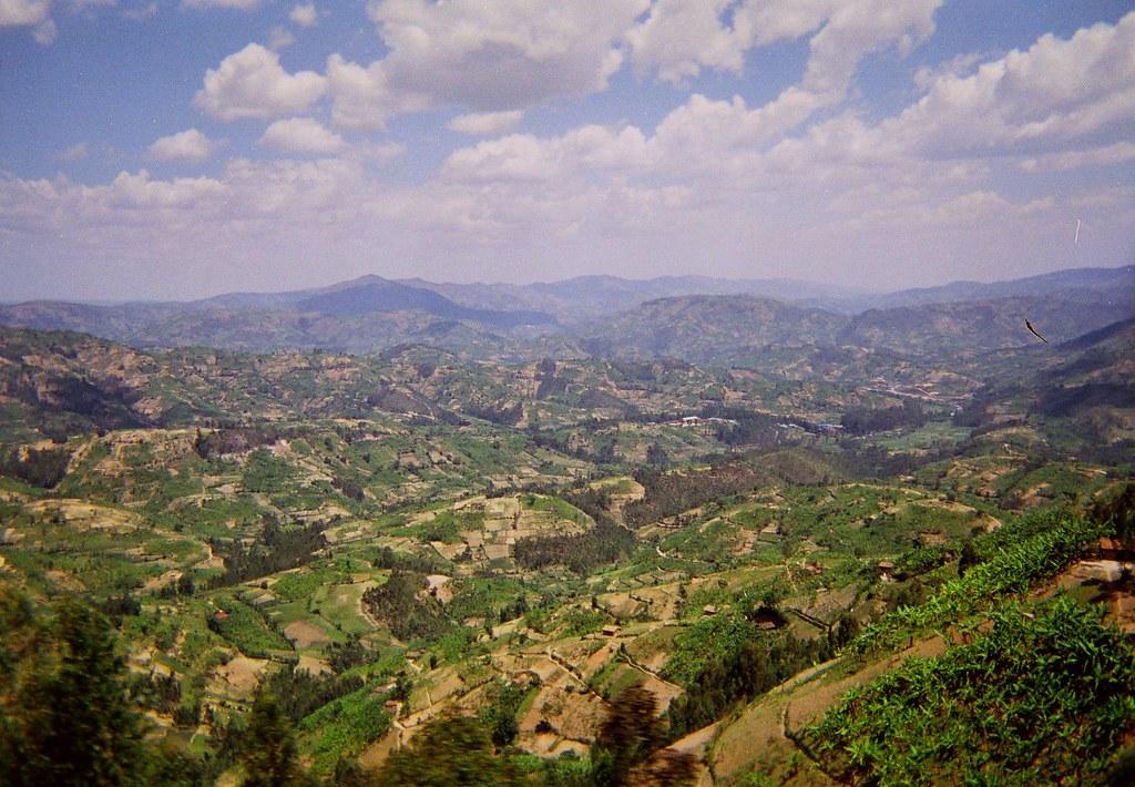 Paysage rwandais 
