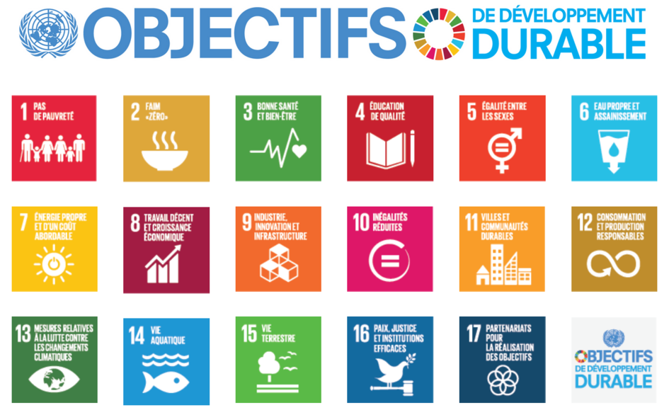 L'ingénierie au service du développement durable: réaliser les Objectifs de  développement durable