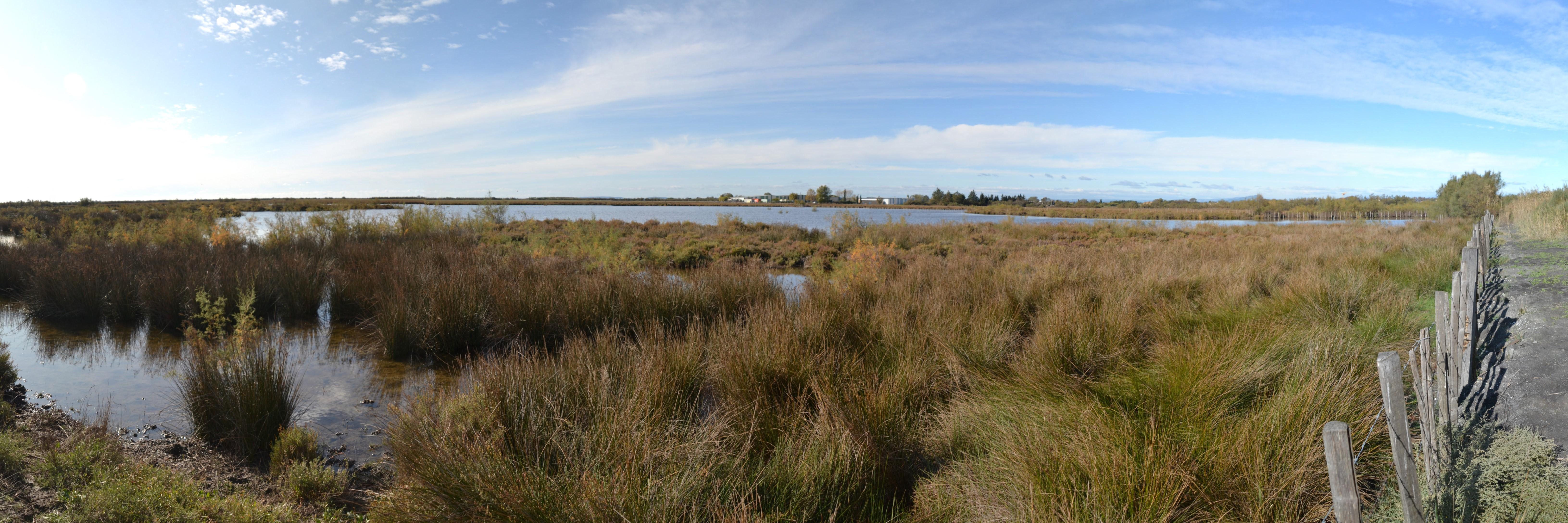 Etang de l'Or - photo de Vincent Lahondère