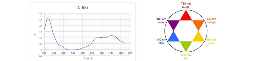 Un graphique d’absorption et une roue chromatique