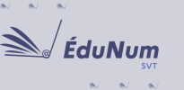 logo edunum