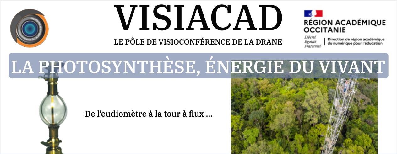 visioconférence photosynthèse