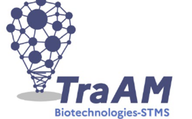 logo TraAM