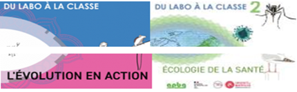 logo labo