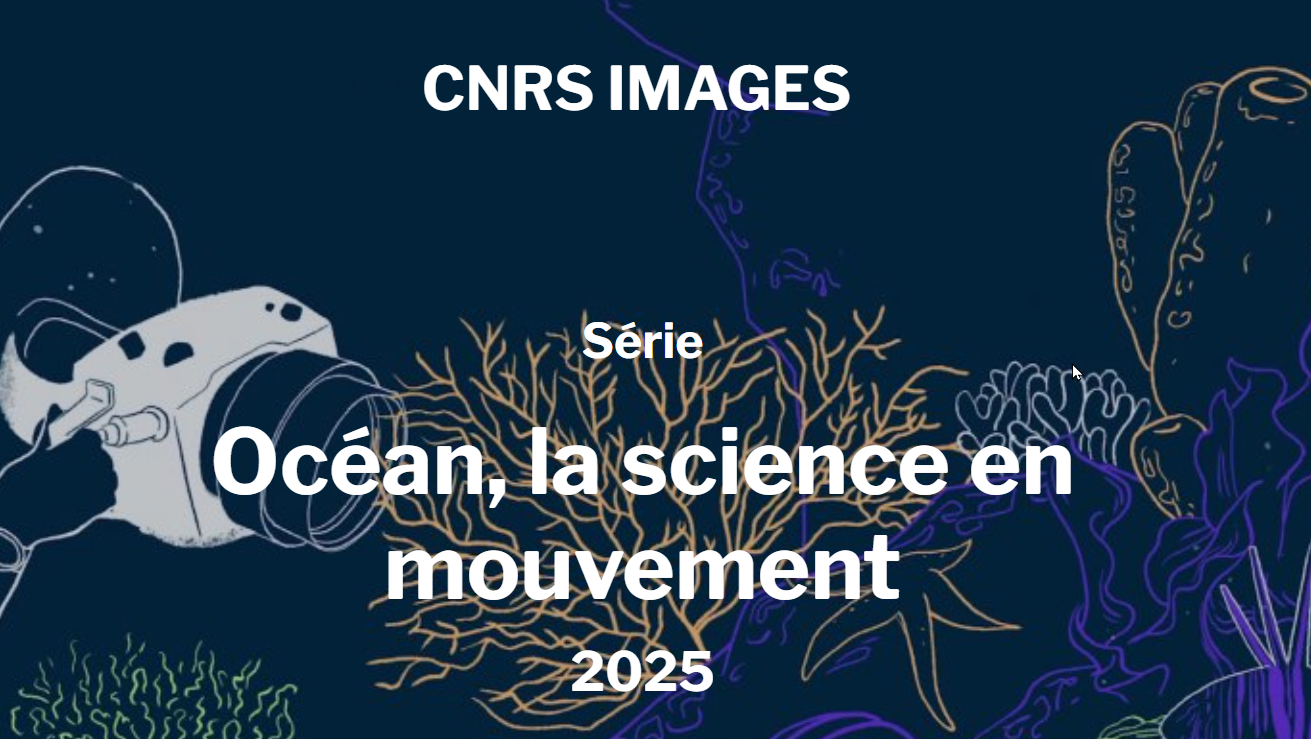 Série CNRS images