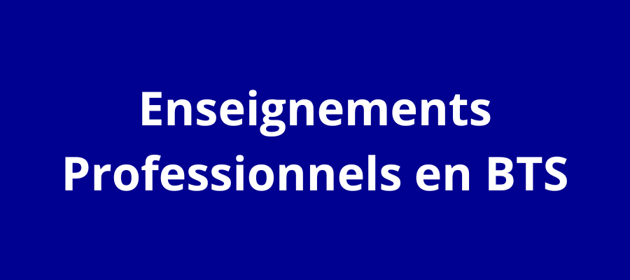 enseignements_professionnels_BTS