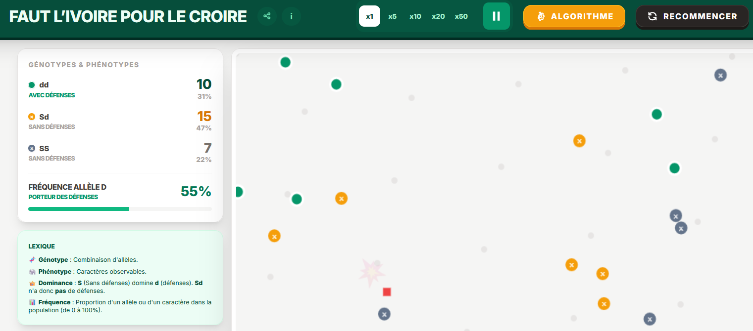 capture d'ecran de la simulation