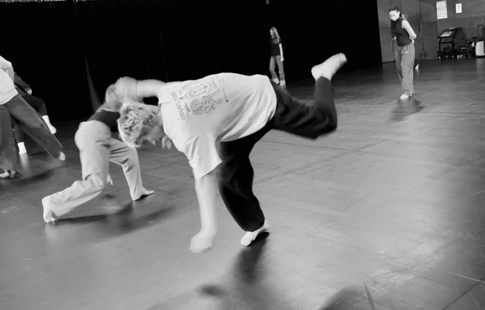 Eleve danseur 