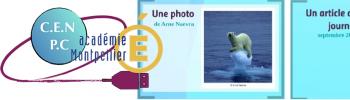 Logo Cercle d’étude numérique Physique-Chimie de Montpellier, un ourse polaire perdu sur un mini-iceberg, des copies d’écran de reportages