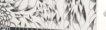 visuel fresque
