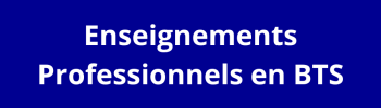 enseignements_professionnels_BTS