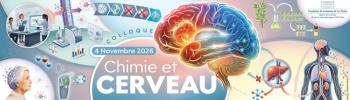 Un cerveau et du matériel de chimie
