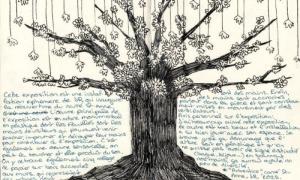 lycee-j-monnet-compte-rendu-expo-JR