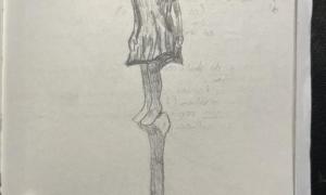 lycee-j-monnet-compte-rendu-expo-petrovitch