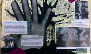 lycee-j-monnet-compte-rendu-expo-JR