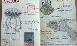 lycee-j-monnet-compte-rendu-expo