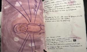 lycee-j-monnet-compte-rendu-expo-petrovitch