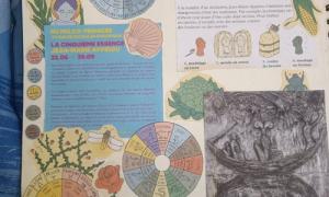 lycee-j-monnet-compte-rendu-expo